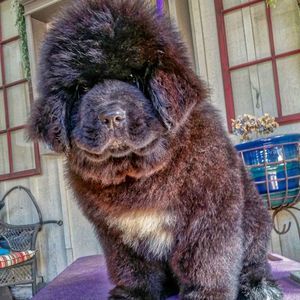 Meet your Posher, Melanie